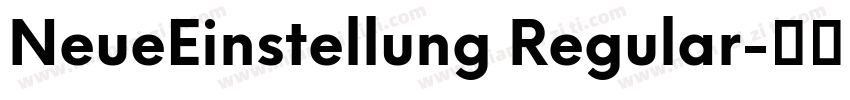 NeueEinstellung Regular字体转换